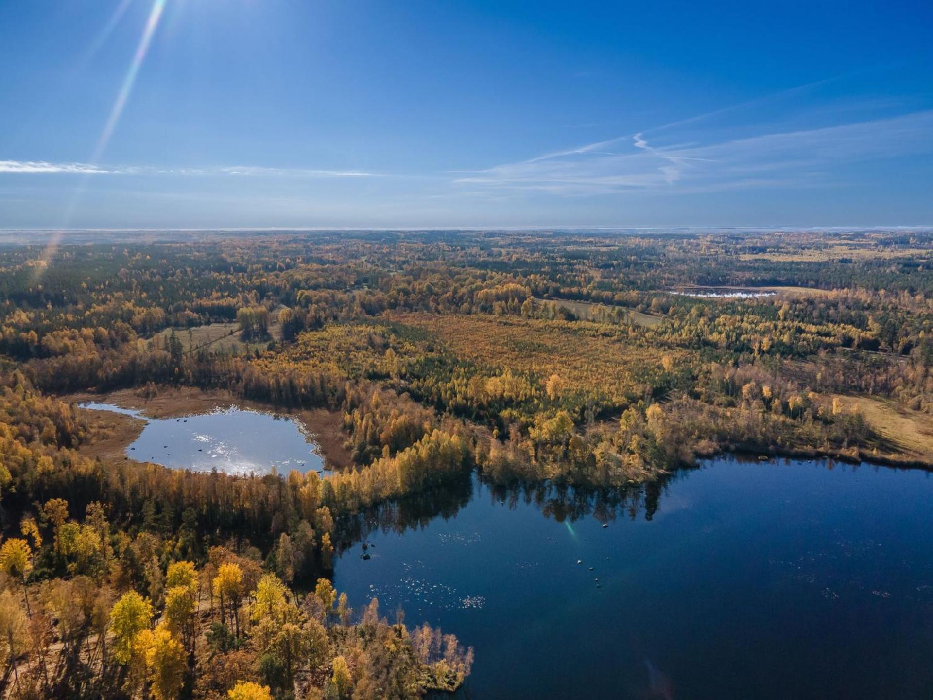 Grimsnas Herrgard Ljuder (Kronoberg) Екстер'єр фото